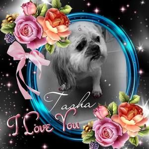 Meet your Posher, Patty